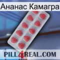 Ананас Камагра 18